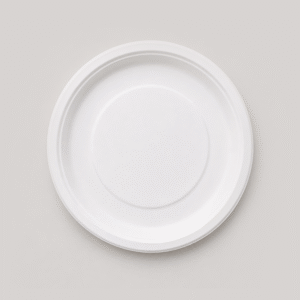 Papezo 9″ Round Bagasse Plate – Eco-Friendly Disposable Dinner Plate
