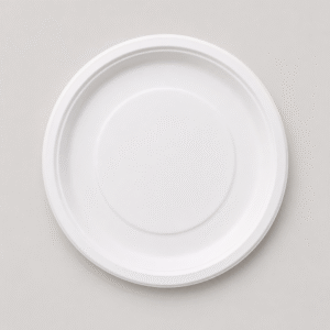 Papezo 10″ Round Bagasse Disposable Plate – Eco-Friendly Food Serving Plate