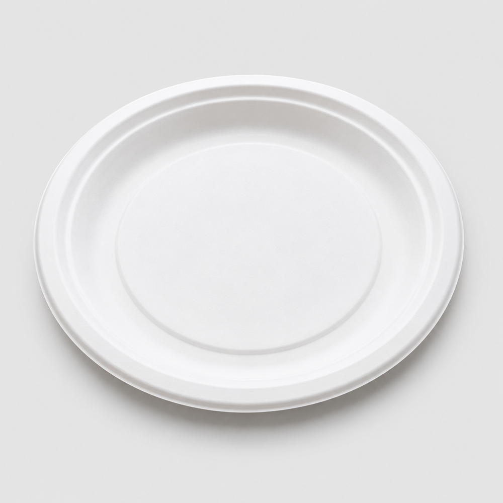 Papezo 10" Round Bagasse Disposable Plate – Eco-Friendly Food Serving Plate 3 Papezo 10" Round Bagasse Disposable Plate – Eco-Friendly Food Serving Plate - Image 3