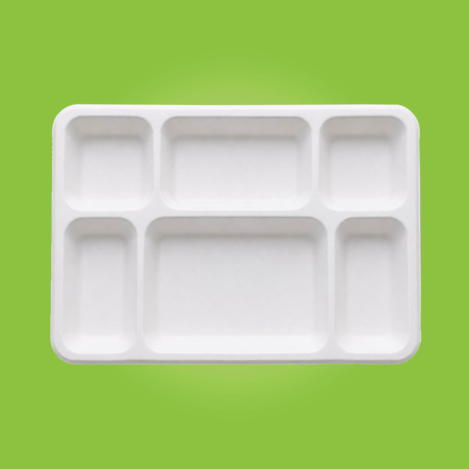 Product 8 6-Compartment Plate