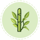 Sugarcane1
